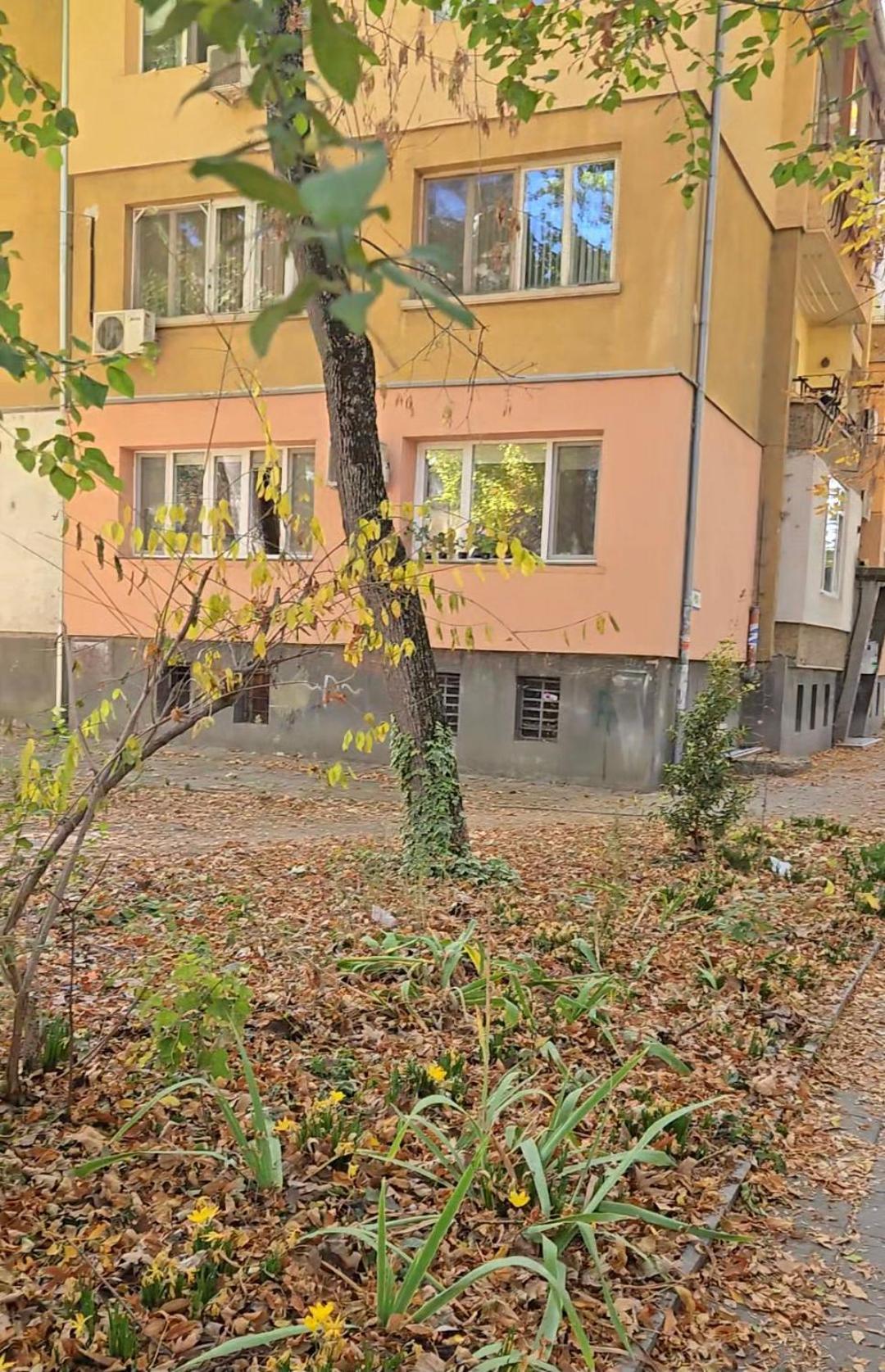 Zoev Apartment *