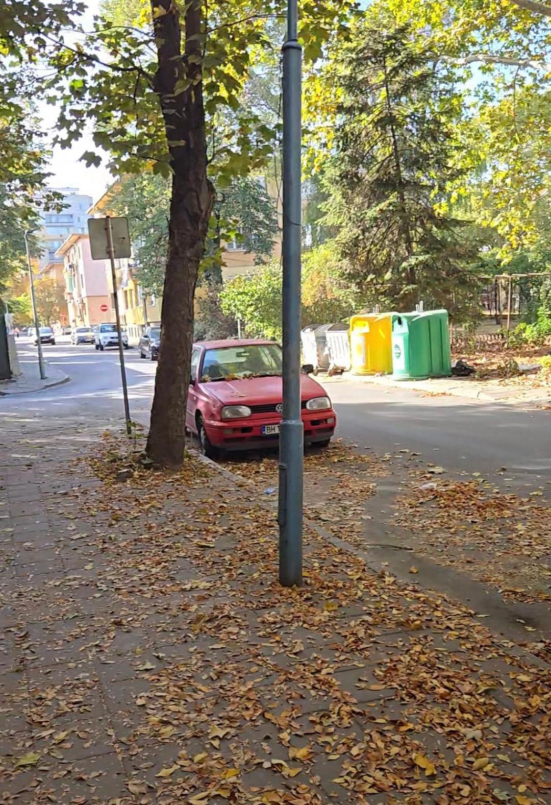 Zoev *