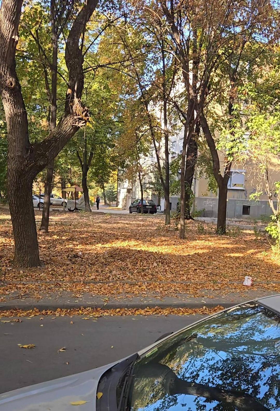 Zoev * Пловдив